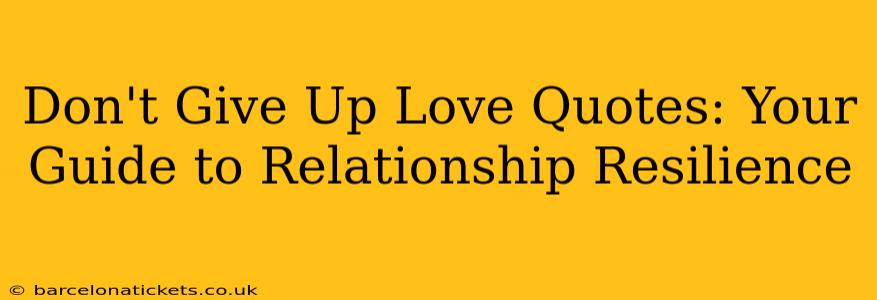 Don't Give Up Love Quotes: Your Guide to Relationship Resilience