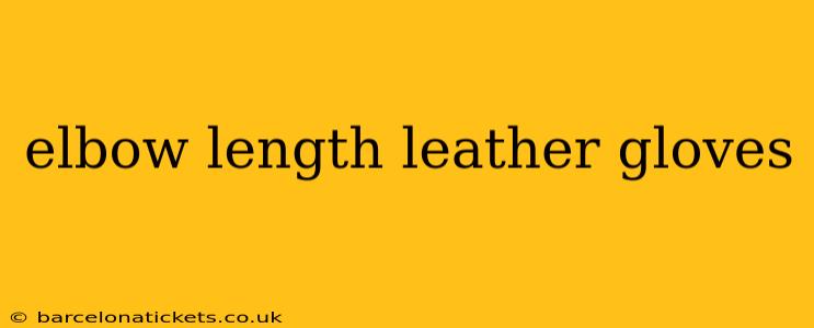 elbow length leather gloves