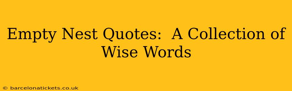 Empty Nest Quotes:  A Collection of  Wise Words