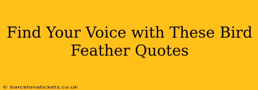 Find Your Voice with These Bird Feather Quotes