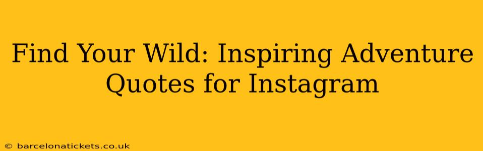 Find Your Wild: Inspiring Adventure Quotes for Instagram