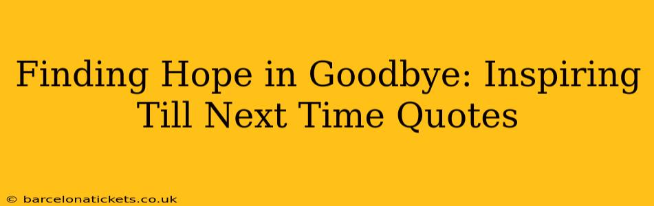Finding Hope in Goodbye: Inspiring Till Next Time Quotes