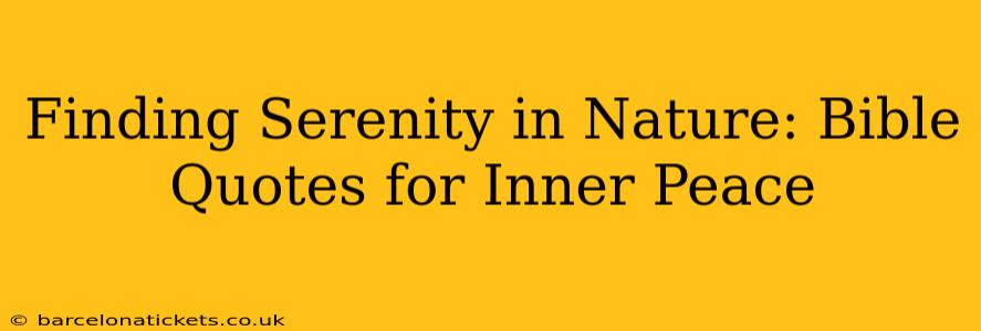 Finding Serenity in Nature: Bible Quotes for Inner Peace