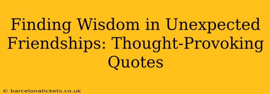 Finding Wisdom in Unexpected Friendships: Thought-Provoking Quotes