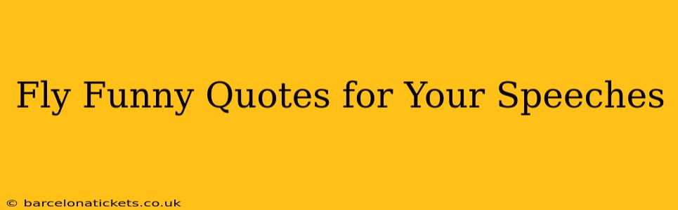Fly Funny Quotes for Your Speeches