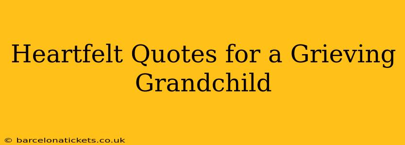 Heartfelt Quotes for a Grieving Grandchild
