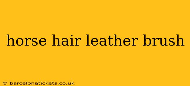 horse hair leather brush