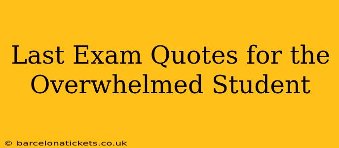 Last Exam Quotes for the Overwhelmed Student
