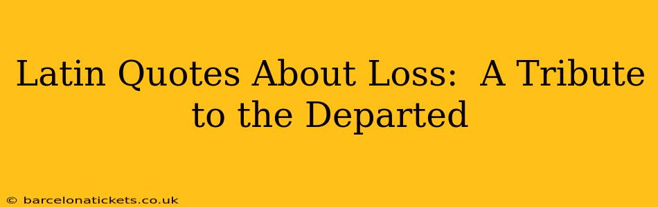 Latin Quotes About Loss:  A Tribute to the Departed