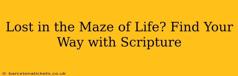Lost in the Maze of Life? Find Your Way with Scripture