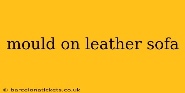 mould on leather sofa