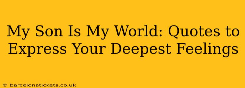 My Son Is My World: Quotes to Express Your Deepest Feelings
