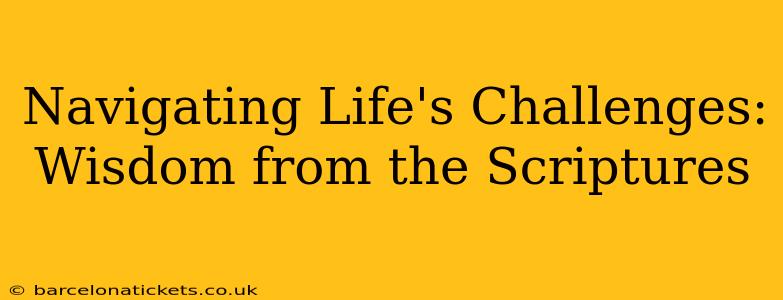 Navigating Life's Challenges: Wisdom from the Scriptures