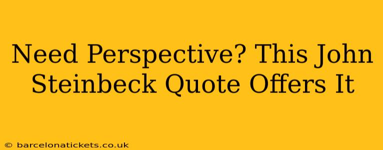 Need Perspective? This John Steinbeck Quote Offers It