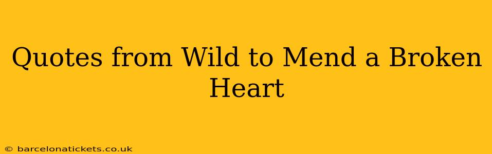 Quotes from Wild to Mend a Broken Heart