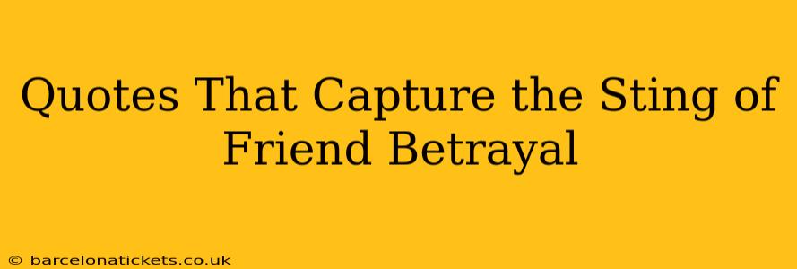 Quotes That Capture the Sting of Friend Betrayal