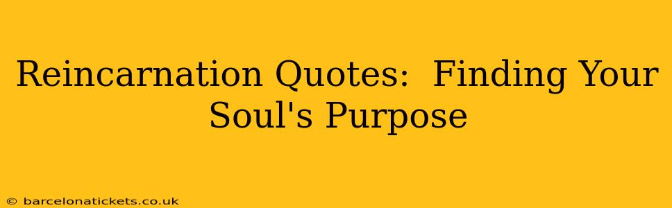 Reincarnation Quotes:  Finding Your Soul's Purpose
