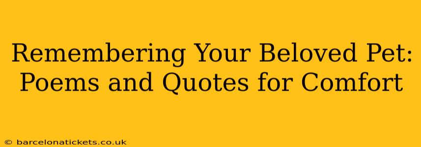 Remembering Your Beloved Pet: Poems and Quotes for Comfort