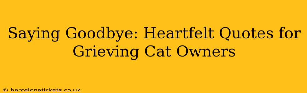 Saying Goodbye: Heartfelt Quotes for Grieving Cat Owners