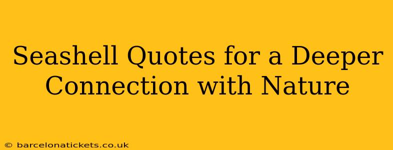 Seashell Quotes for a Deeper Connection with Nature