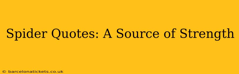 Spider Quotes: A Source of Strength