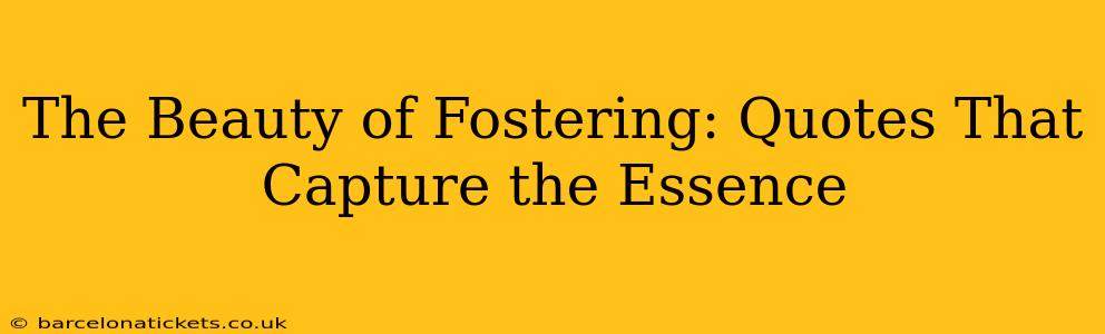 The Beauty of Fostering: Quotes That Capture the Essence