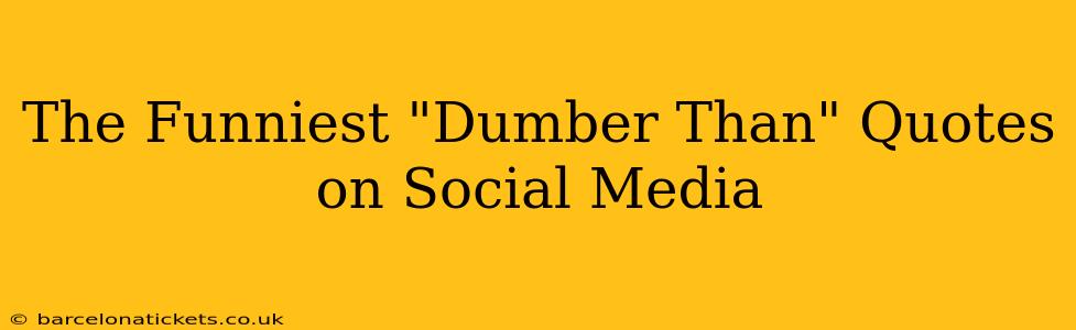 The Funniest "Dumber Than" Quotes on Social Media