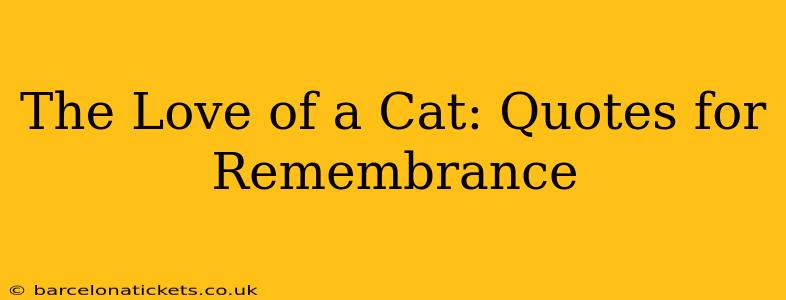 The Love of a Cat: Quotes for Remembrance