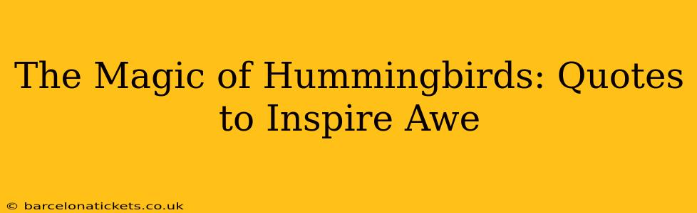 The Magic of Hummingbirds: Quotes to Inspire Awe