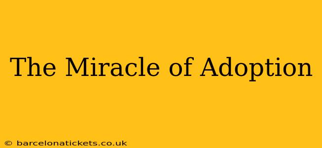 The Miracle of Adoption