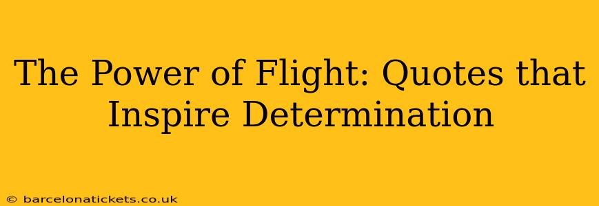 The Power of Flight: Quotes that Inspire Determination