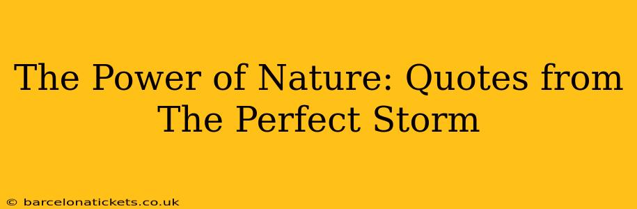 The Power of Nature: Quotes from The Perfect Storm