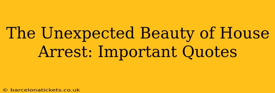 The Unexpected Beauty of House Arrest: Important Quotes