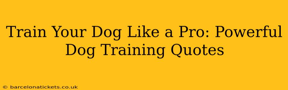 Train Your Dog Like a Pro: Powerful Dog Training Quotes