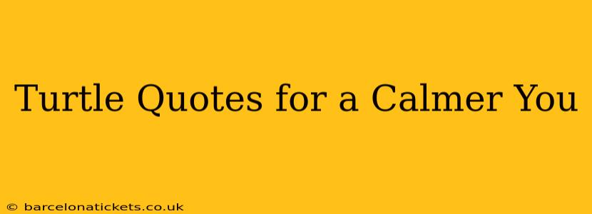 Turtle Quotes for a Calmer You