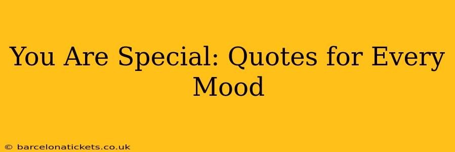 You Are Special: Quotes for Every Mood
